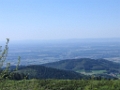 03 Foret Noire